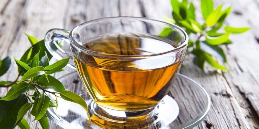 Té Verde: Beneficios, propiedades y cómo potenciar sus efectos