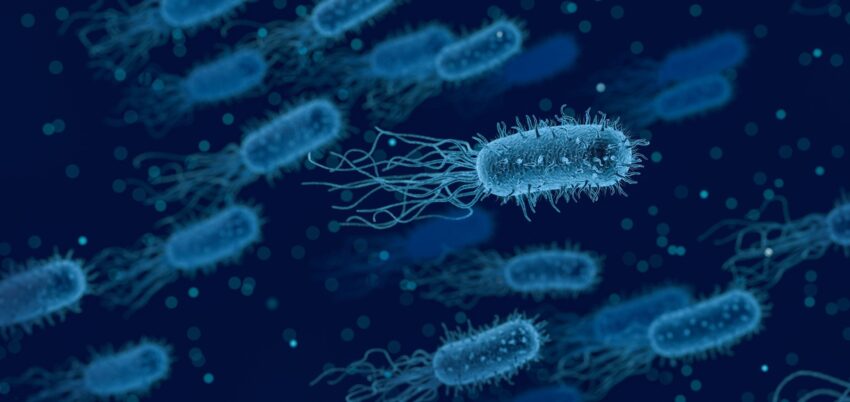 Cuidado de la microbiota y la salud digestiva: El eslabón perdido de la salud y el bienestar total