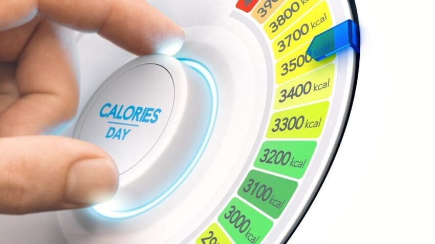 Valor Calórico de los Alimentos que Consumimos: Una Guía Completa